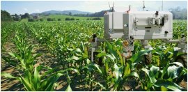 Agricultural robots are taking over t